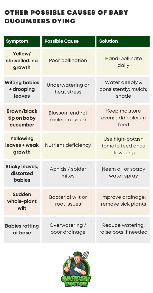 Table of Possible Causes of Baby Cucumbers Dying