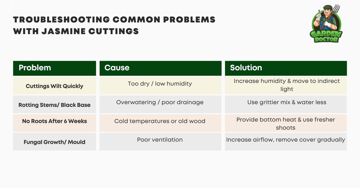 Table of Troubleshooting Common Problems with Jasmine Cuttings