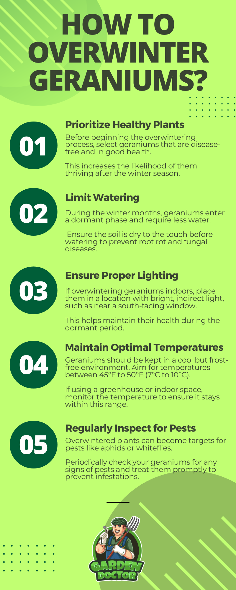 How to Overwinter Geraniums Infographic