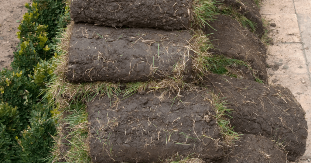 Turf Ribbing Problem How to Deal with Badly Laid Turf - Garden Doctor