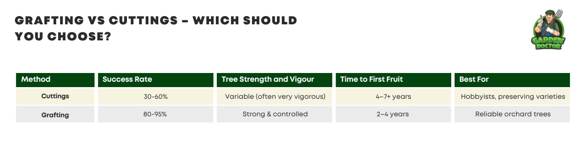 Grafting vs Cuttings – Which Should You Choose Comparison Table