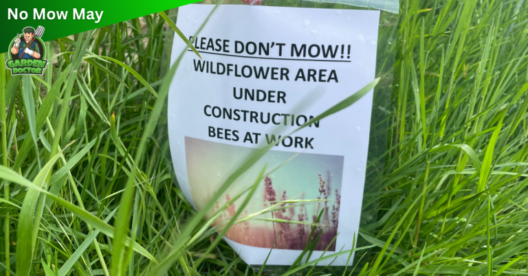 Sign Up in No Mow May Conservation Area