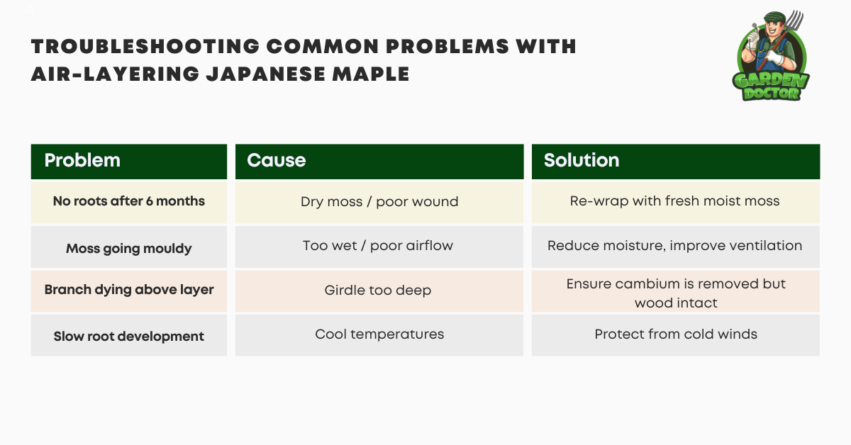 Troubleshooting Table - Common Problems with Air-layering Japanese Maple